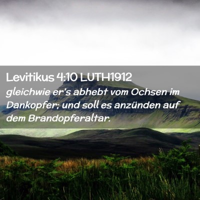 Picture 02 - Levitikus 4:10 LUTH1912 - gleichwie er's abhebt vom Ochsen im Dankopfer; - Bible Verse Picture