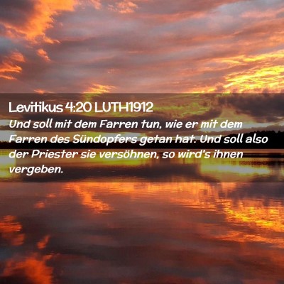 Picture 02 - Levitikus 4:20 LUTH1912 - Und soll mit dem Farren tun, wie er mit dem - Bible Verse Picture
