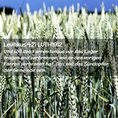 Picture 02 - Levitikus 4:21 LUTH1912 - Und soll den Farren hinaus vor das Lager tragen - Bible Verse Picture