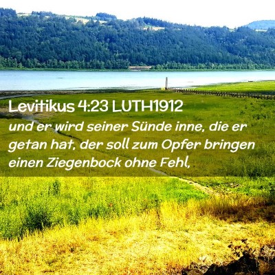 Picture 02 - Levitikus 4:23 LUTH1912 - und er wird seiner Sünde inne, die er getan hat, - Bible Verse Picture