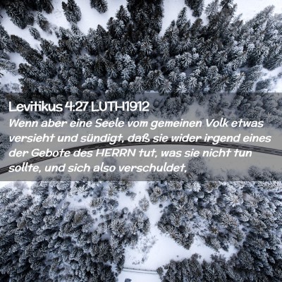 Picture 02 - Levitikus 4:27 LUTH1912 - Wenn aber eine Seele vom gemeinen Volk etwas - Bible Verse Picture