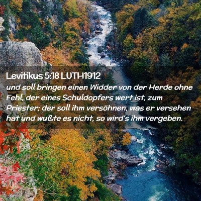 Picture 02 - Levitikus 5:18 LUTH1912 - und soll bringen einen Widder von der Herde ohne - Bible Verse Picture