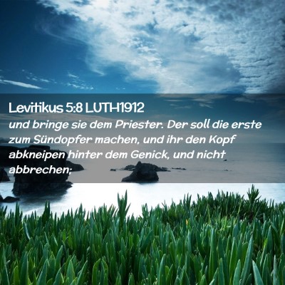 Picture 02 - Levitikus 5:8 LUTH1912 - und bringe sie dem Priester. Der soll die erste - Bible Verse Picture