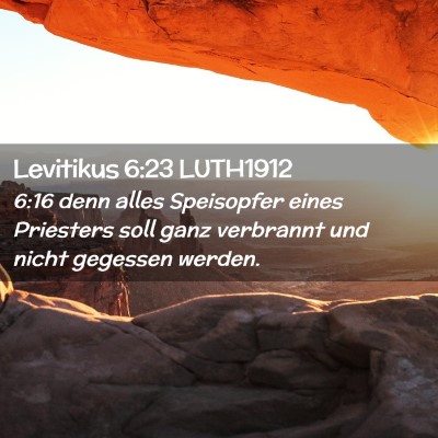 Picture 02 - Levitikus 6:23 LUTH1912 - 6:16 denn alles Speisopfer eines Priesters soll - Bible Verse Picture
