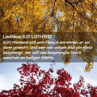 Picture 02 - Levitikus 6:27 LUTH1912 - 6:20 Niemand soll sein Fleisch anrühren, er sei - Bible Verse Picture