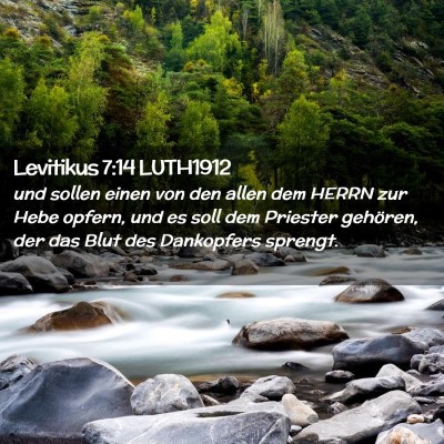 Picture 02 - Levitikus 7:14 LUTH1912 - und sollen einen von den allen dem HERRN zur Hebe - Bible Verse Picture