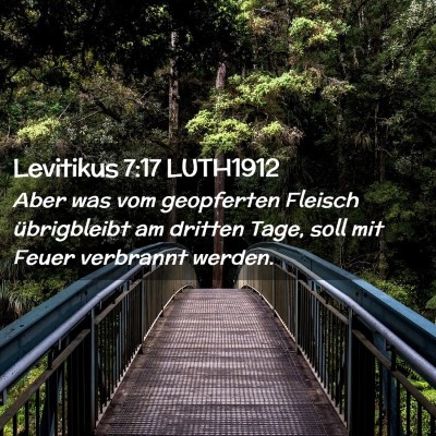 Picture 02 - Levitikus 7:17 LUTH1912 - Aber was vom geopferten Fleisch übrigbleibt am - Bible Verse Picture