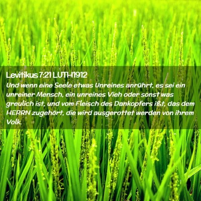 Picture 02 - Levitikus 7:21 LUTH1912 - Und wenn eine Seele etwas Unreines anrührt, es - Bible Verse Picture