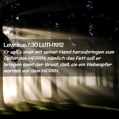 Picture 02 - Levitikus 7:30 LUTH1912 - Er soll's aber mit seiner Hand herzubringen zum - Bible Verse Picture