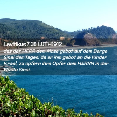 Picture 02 - Levitikus 7:38 LUTH1912 - das der HERR dem Mose gebot auf dem Berge Sinai - Bible Verse Picture