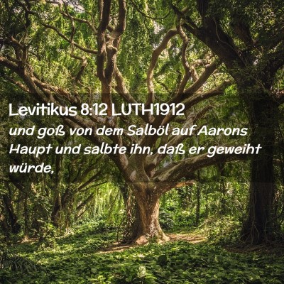 Picture 02 - Levitikus 8:12 LUTH1912 - und goß von dem Salböl auf Aarons Haupt und - Bible Verse Picture