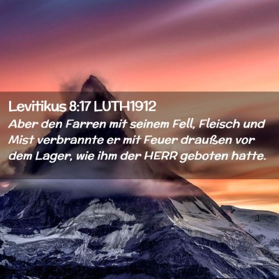 Picture 02 - Levitikus 8:17 LUTH1912 - Aber den Farren mit seinem Fell, Fleisch und Mist - Bible Verse Picture