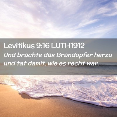 Picture 02 - Levitikus 9:16 LUTH1912 - Und brachte das Brandopfer herzu und tat damit, - Bible Verse Picture