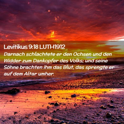 Picture 02 - Levitikus 9:18 LUTH1912 - Darnach schlachtete er den Ochsen und den Widder - Bible Verse Picture