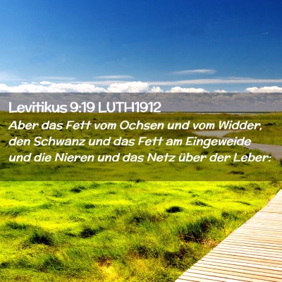 Picture 02 - Levitikus 9:19 LUTH1912 - Aber das Fett vom Ochsen und vom Widder, den - Bible Verse Picture