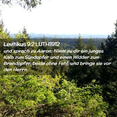 Picture 02 - Levitikus 9:2 LUTH1912 - und sprach zu Aaron: Nimm zu dir ein junges Kalb - Bible Verse Picture