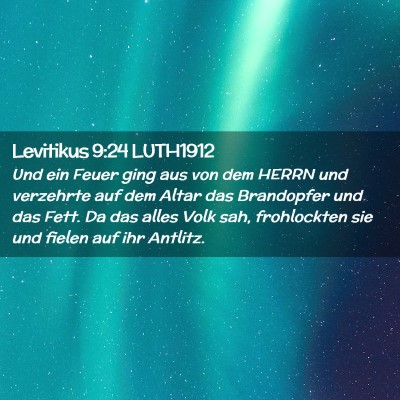 Picture 02 - Levitikus 9:24 LUTH1912 - Und ein Feuer ging aus von dem HERRN und - Bible Verse Picture