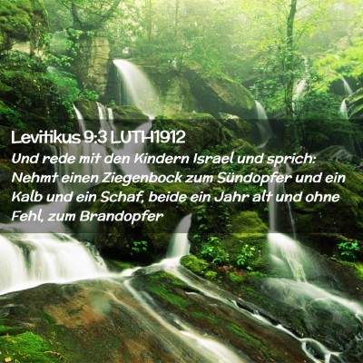 Picture 02 - Levitikus 9:3 LUTH1912 - Und rede mit den Kindern Israel und sprich: Nehmt - Bible Verse Picture