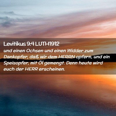 Picture 02 - Levitikus 9:4 LUTH1912 - und einen Ochsen und einen Widder zum Dankopfer, - Bible Verse Picture
