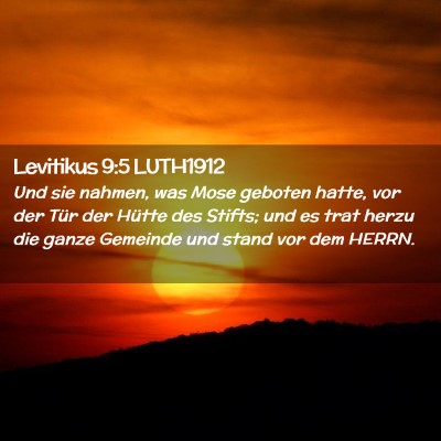 Picture 02 - Levitikus 9:5 LUTH1912 - Und sie nahmen, was Mose geboten hatte, vor der - Bible Verse Picture
