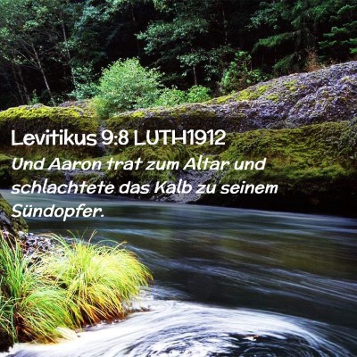 Picture 02 - Levitikus 9:8 LUTH1912 - Und Aaron trat zum Altar und schlachtete das Kalb - Bible Verse Picture