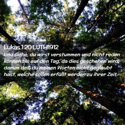 Picture 02 - Lukas 1:20 LUTH1912 - Und siehe, du wirst verstummen und nicht reden - Bible Verse Picture
