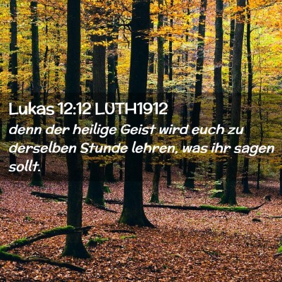 Picture 02 - Lukas 12:12 LUTH1912 - denn der heilige Geist wird euch zu derselben - Bible Verse Picture