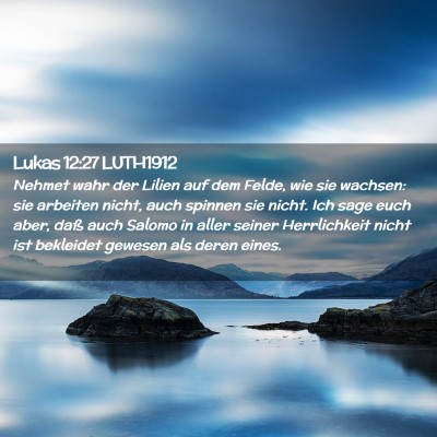 Picture 02 - Lukas 12:27 LUTH1912 - Nehmet wahr der Lilien auf dem Felde, wie sie - Bible Verse Picture