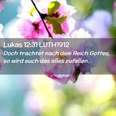 Picture 02 - Lukas 12:31 LUTH1912 - Doch trachtet nach dem Reich Gottes, so wird euch - Bible Verse Picture