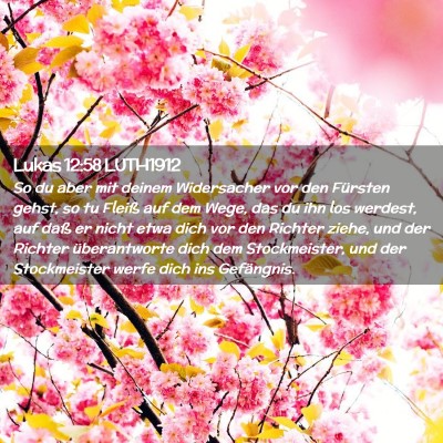 Picture 02 - Lukas 12:58 LUTH1912 - So du aber mit deinem Widersacher vor den - Bible Verse Picture