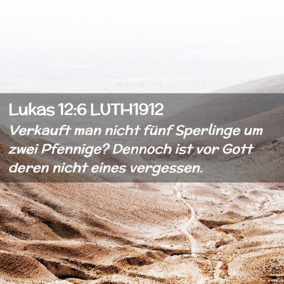 Picture 02 - Lukas 12:6 LUTH1912 - Verkauft man nicht fünf Sperlinge um zwei - Bible Verse Picture