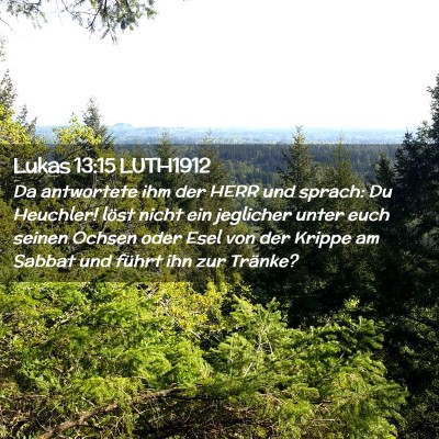 Picture 02 - Lukas 13:15 LUTH1912 - Da antwortete ihm der HERR und sprach: Du - Bible Verse Picture