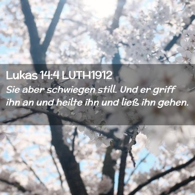 Picture 02 - Lukas 14:4 LUTH1912 - Sie aber schwiegen still. Und er griff ihn an und - Bible Verse Picture