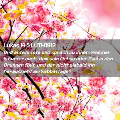 Picture 02 - Lukas 14:5 LUTH1912 - Und antwortete und sprach zu ihnen: Welcher ist - Bible Verse Picture