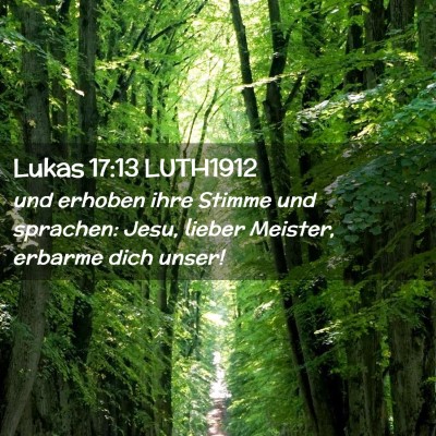 Picture 02 - Lukas 17:13 LUTH1912 - und erhoben ihre Stimme und sprachen: Jesu, - Bible Verse Picture