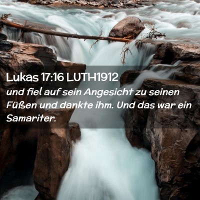 Picture 02 - Lukas 17:16 LUTH1912 - und fiel auf sein Angesicht zu seinen Füßen und - Bible Verse Picture