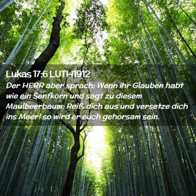 Picture 02 - Lukas 17:6 LUTH1912 - Der HERR aber sprach: Wenn ihr Glauben habt wie - Bible Verse Picture