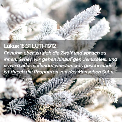 Picture 02 - Lukas 18:31 LUTH1912 - Er nahm aber zu sich die Zwölf und sprach zu - Bible Verse Picture