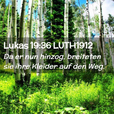Picture 02 - Lukas 19:36 LUTH1912 - Da er nun hinzog, breiteten sie ihre Kleider auf - Bible Verse Picture