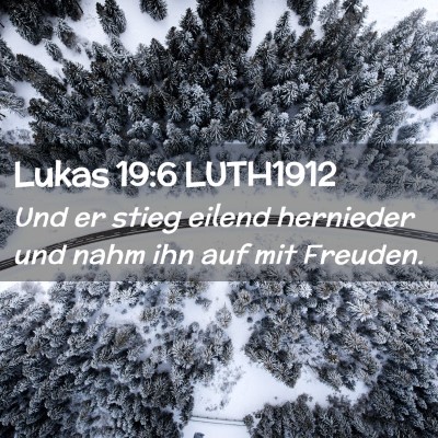 Picture 02 - Lukas 19:6 LUTH1912 - Und er stieg eilend hernieder und nahm ihn auf - Bible Verse Picture