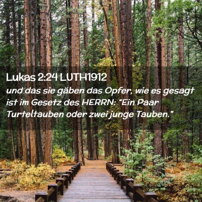 Picture 02 - Lukas 2:24 LUTH1912 - und das sie gäben das Opfer, wie es gesagt ist - Bible Verse Picture