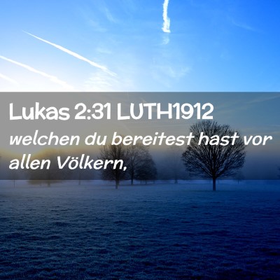 Picture 02 - Lukas 2:31 LUTH1912 - welchen du bereitest hast vor allen - Bible Verse Picture