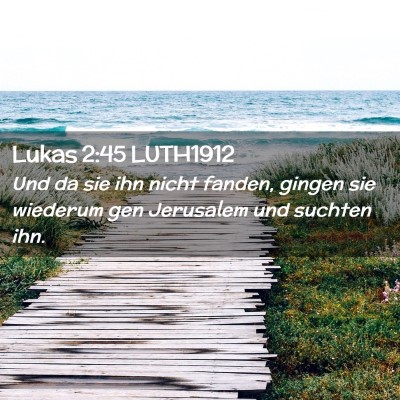 Picture 02 - Lukas 2:45 LUTH1912 - Und da sie ihn nicht fanden, gingen sie wiederum - Bible Verse Picture