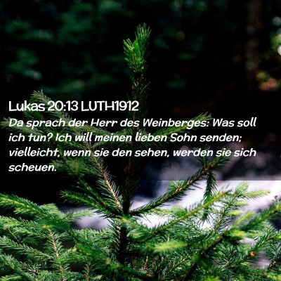 Picture 02 - Lukas 20:13 LUTH1912 - Da sprach der Herr des Weinberges: Was soll ich - Bible Verse Picture