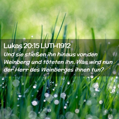 Picture 02 - Lukas 20:15 LUTH1912 - Und sie stießen ihn hinaus vor den Weinberg und - Bible Verse Picture