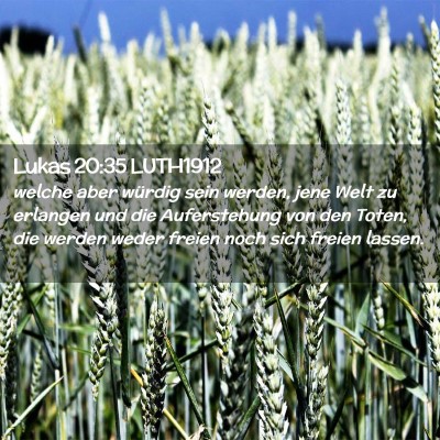 Picture 02 - Lukas 20:35 LUTH1912 - welche aber würdig sein werden, jene Welt zu - Bible Verse Picture