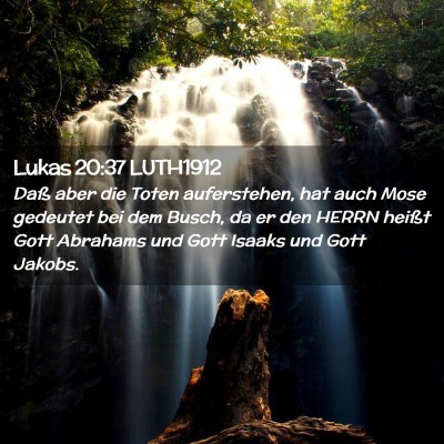 Picture 02 - Lukas 20:37 LUTH1912 - Daß aber die Toten auferstehen, hat auch Mose - Bible Verse Picture