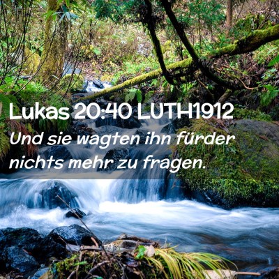 Picture 02 - Lukas 20:40 LUTH1912 - Und sie wagten ihn fürder nichts mehr zu - Bible Verse Picture