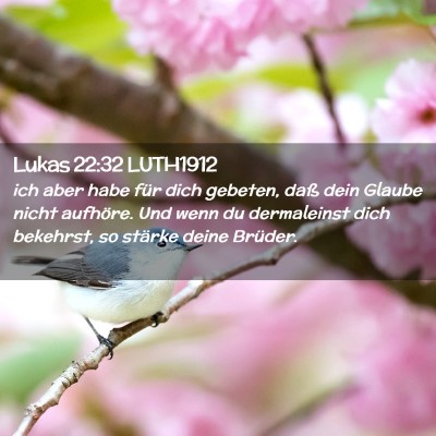 Picture 02 - Lukas 22:32 LUTH1912 - ich aber habe für dich gebeten, daß dein Glaube - Bible Verse Picture