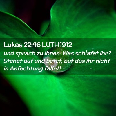 Picture 02 - Lukas 22:46 LUTH1912 - und sprach zu ihnen: Was schlafet ihr? Stehet auf - Bible Verse Picture
